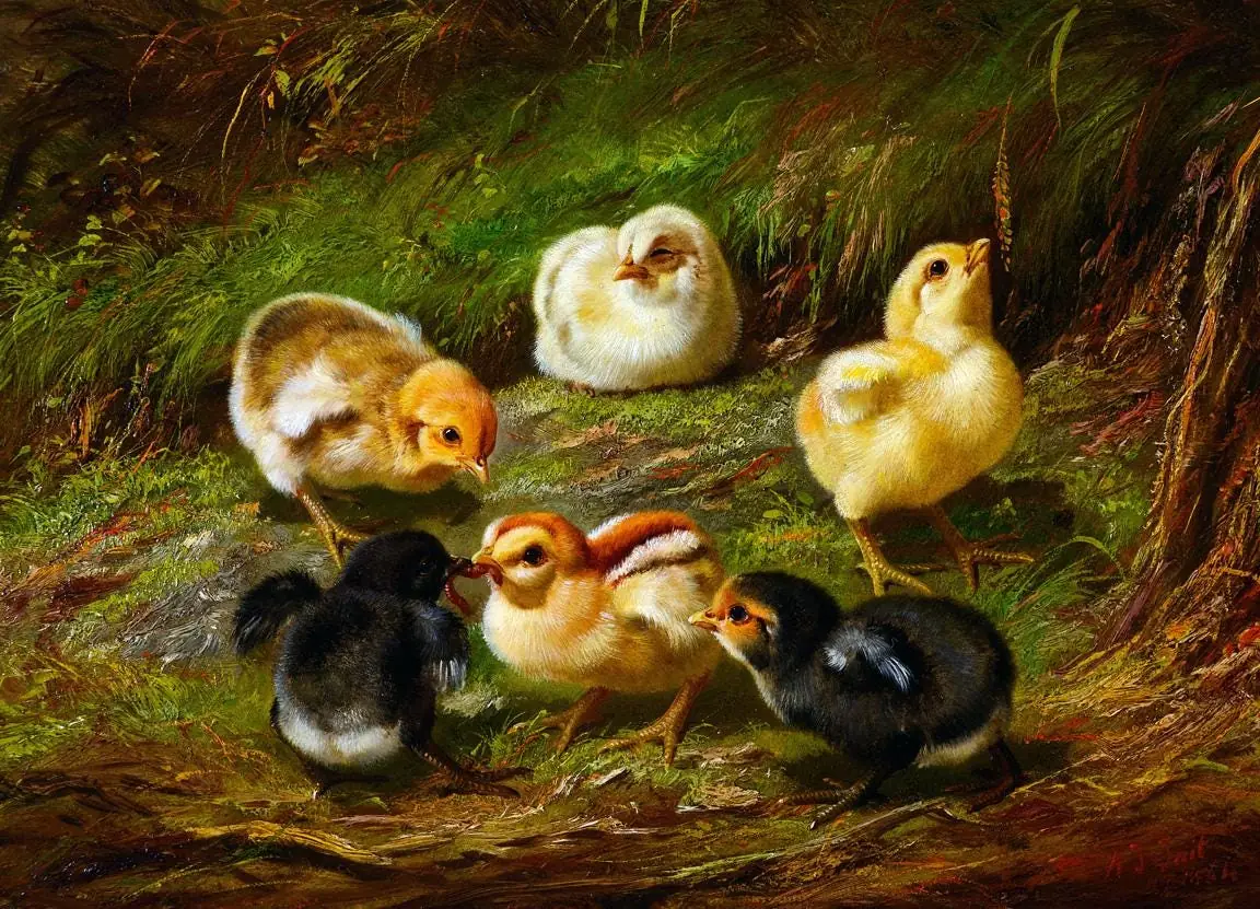 Chickens Chicks Farm Animals Arthur Fitzwilliam Tait
