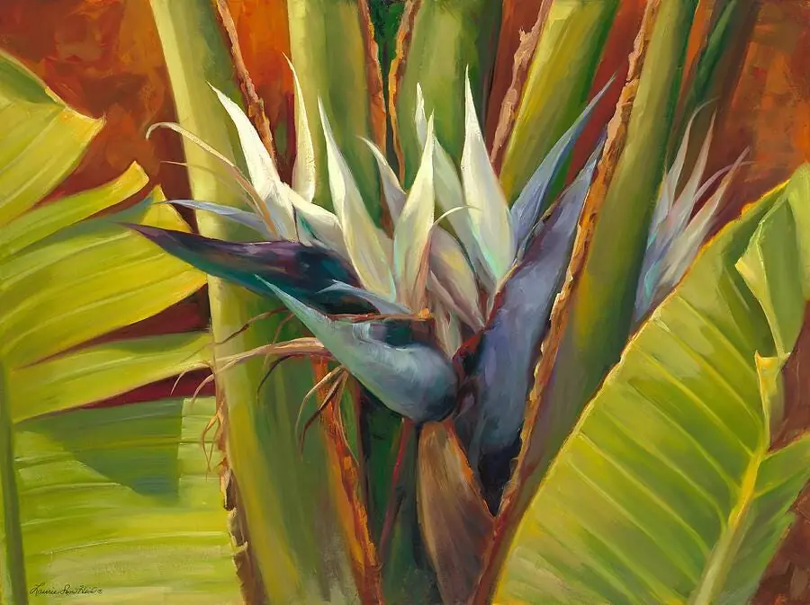White Bird of Paradise Tropical Garden Flower Plant