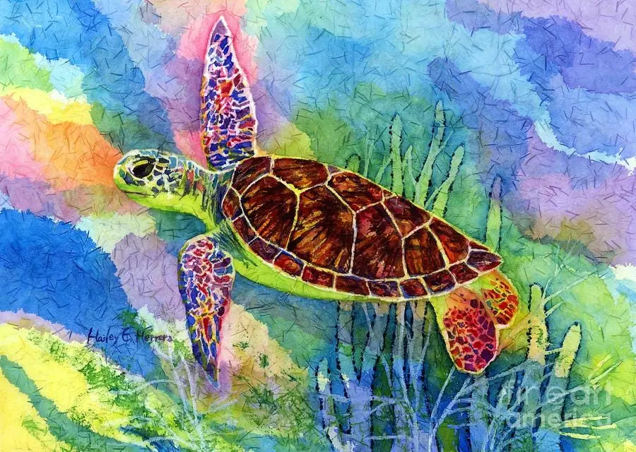 Sea Turtle in Reef