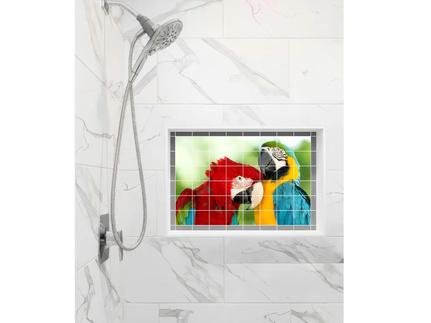 Cuddling Macaws Parrots Birds detail