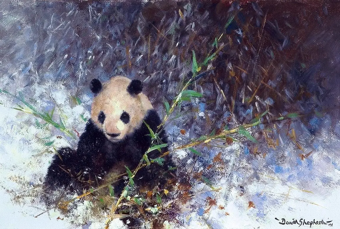 Panda of China