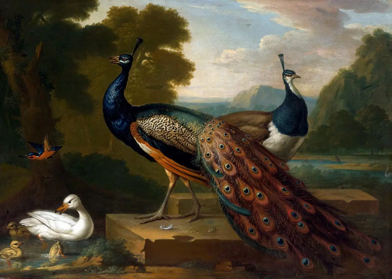 Peacocks, Ducks, a Kingfisher and Other Birds