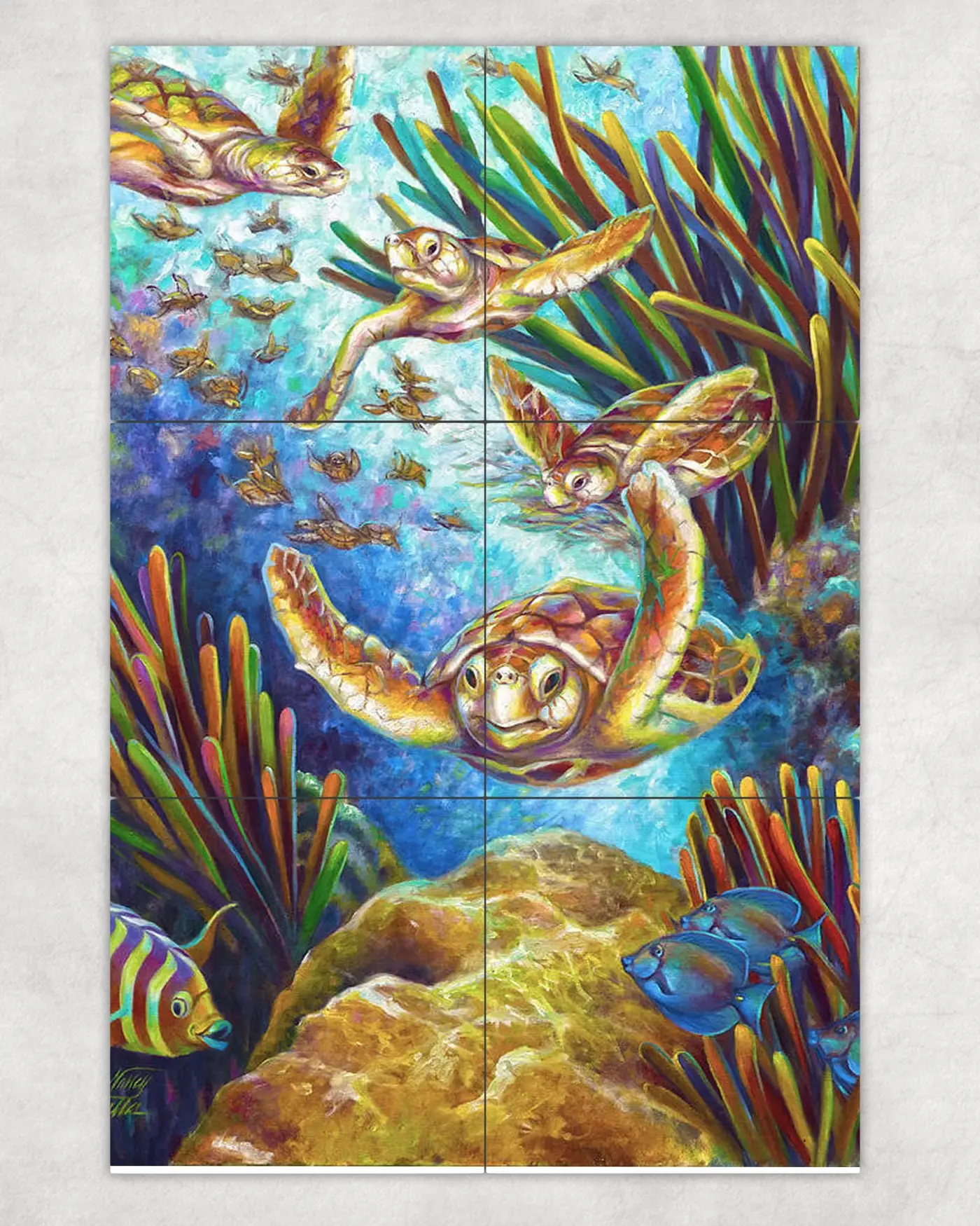 Loggerhead Sea Turtle Coral Reef Ocean