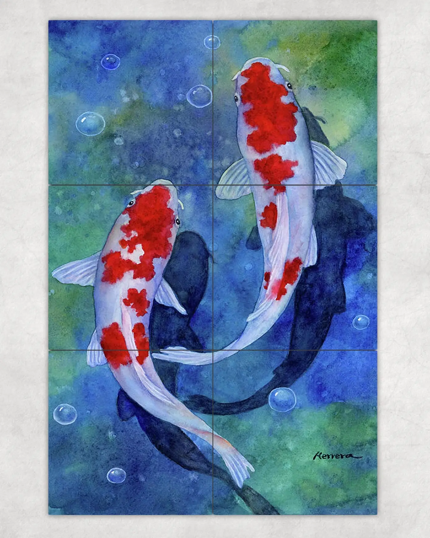 Koi Fish Pond Garden