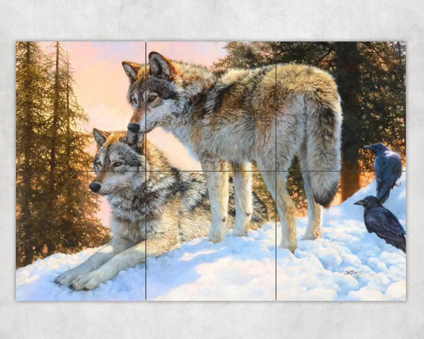 Yellowstone Wolves in Snowy Landscape at Sunrise
