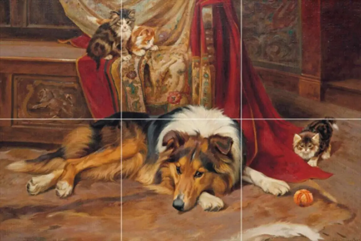 A Reluctant Playmate Wright Barker Collie Dog Cat