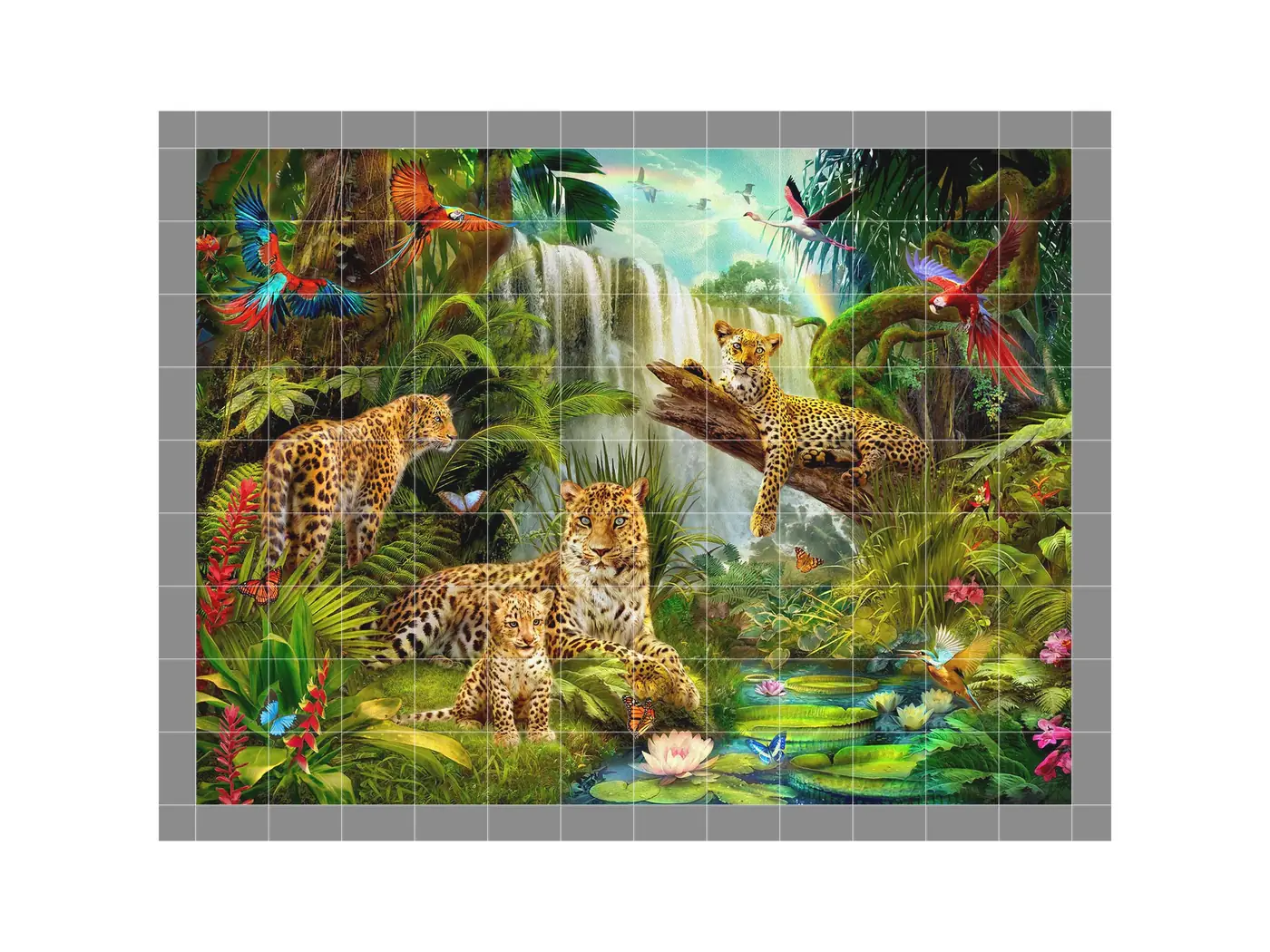 Leopards Jungle Forest