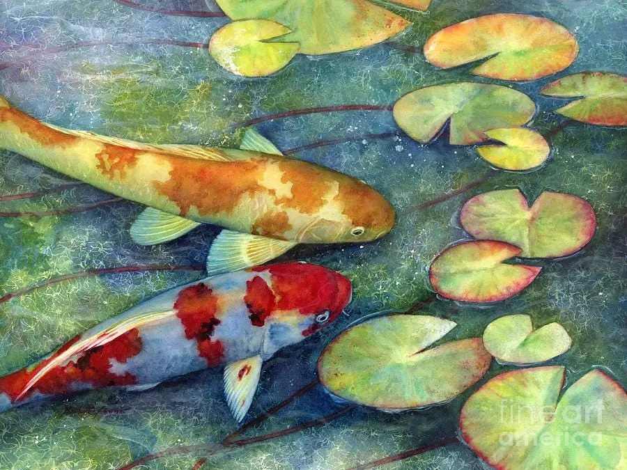Koi Fish Garden