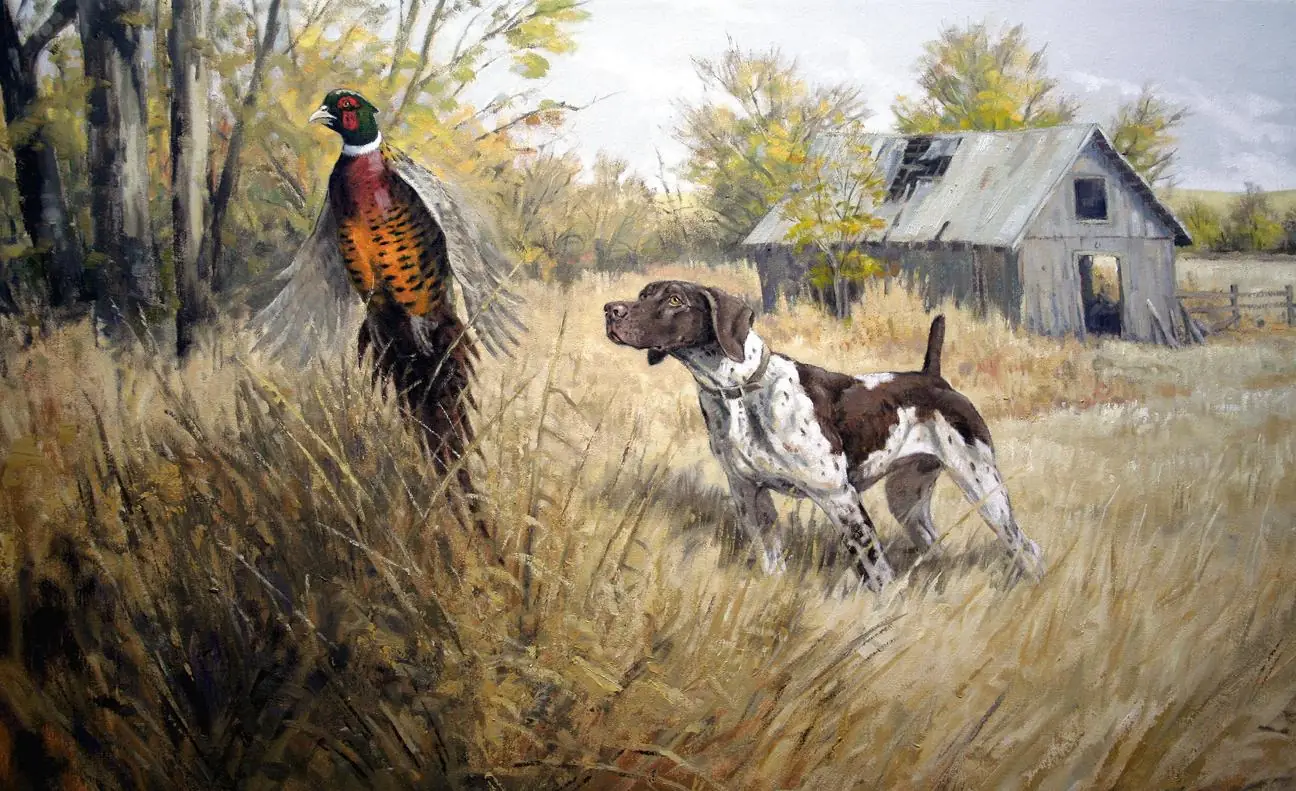 One on One Hunting Dog Pointer Pheasant