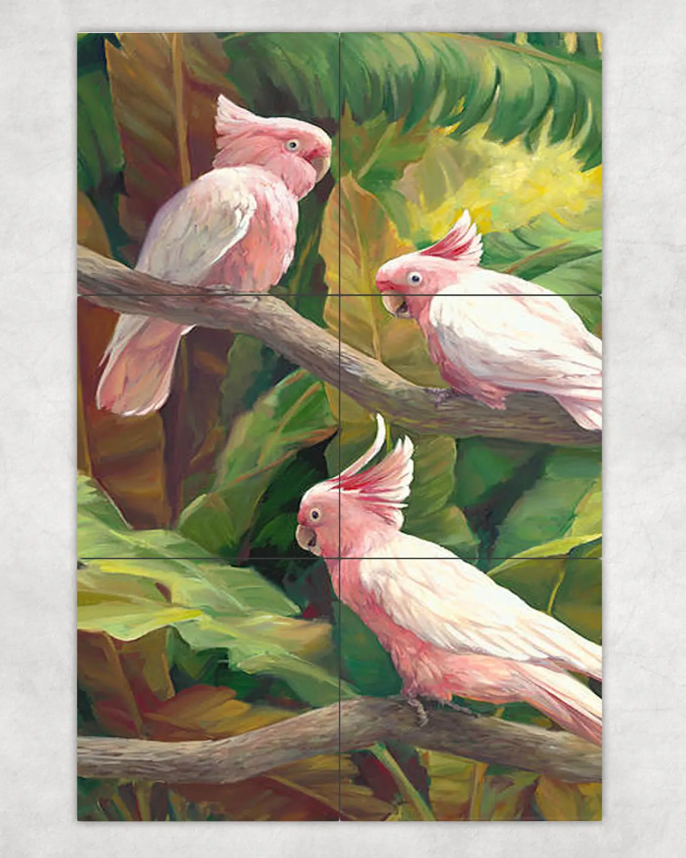 Wild Pink Parrots