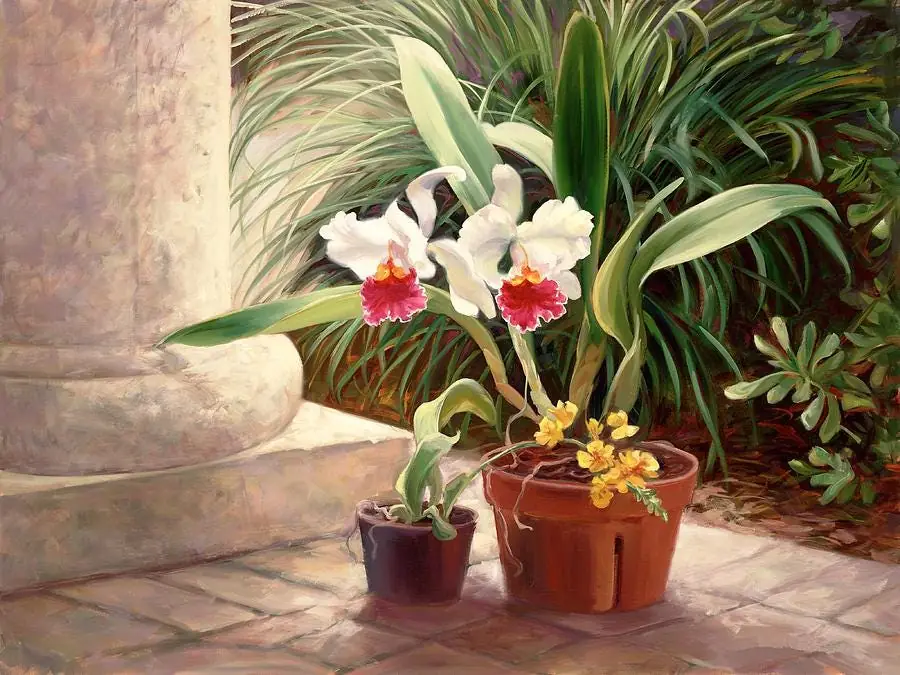 Orchid Flowers Garden