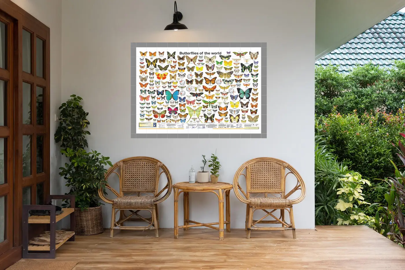 Butterflies of the World, Photo 5