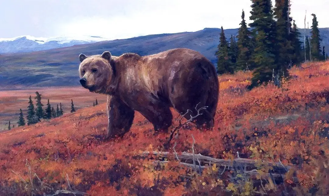 Tundra Slopes Grizzly Bear