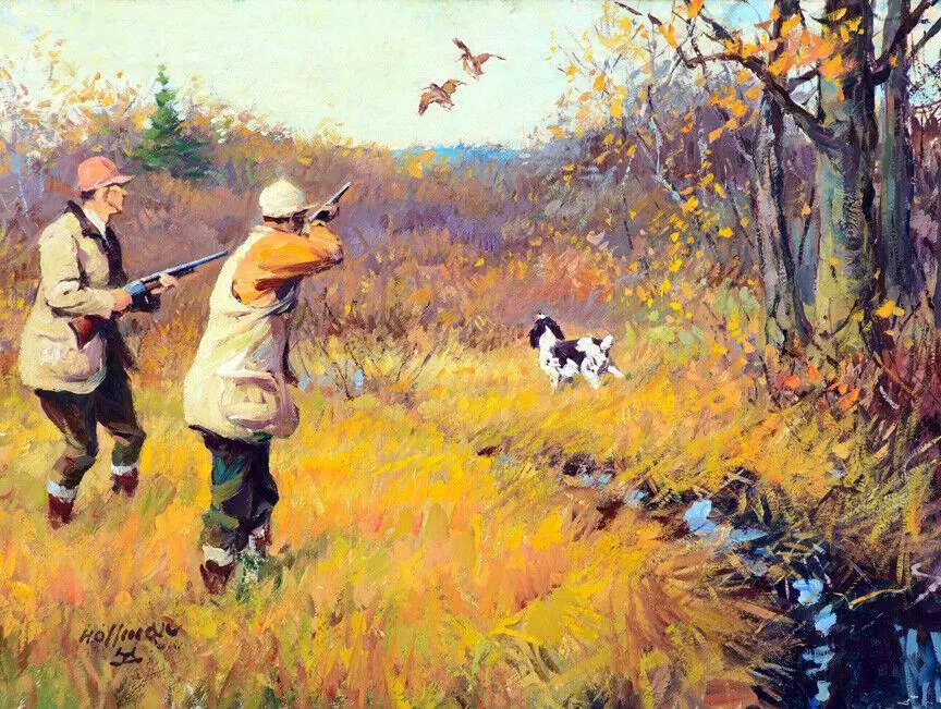 Woodcock Shooting Bird Hunting