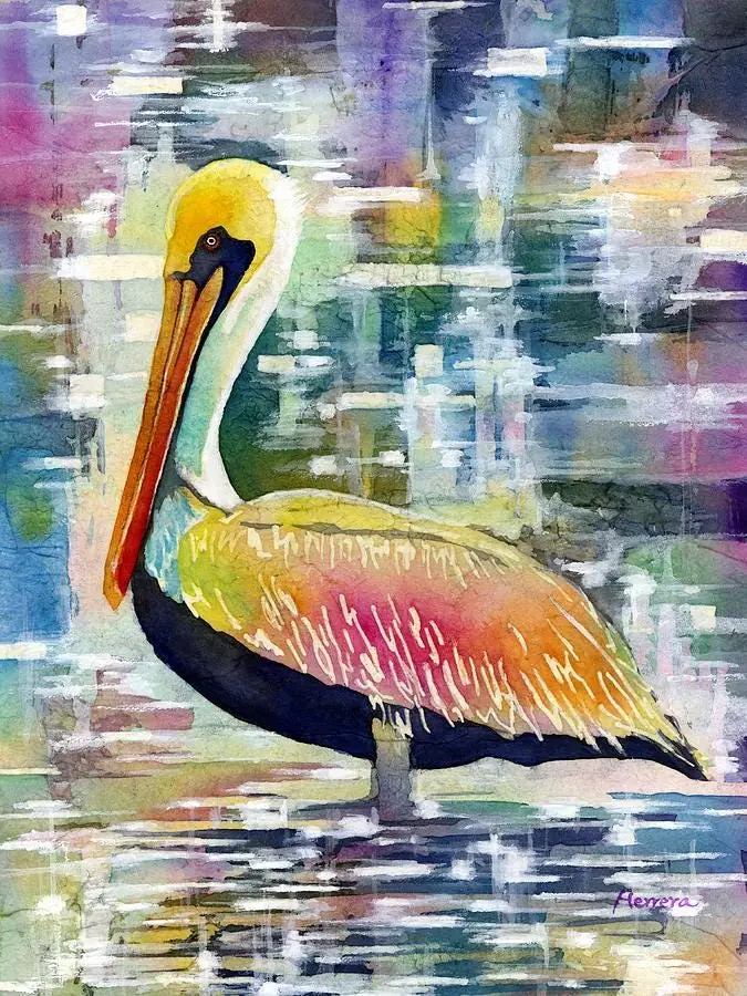 Morning Solitude Pelican