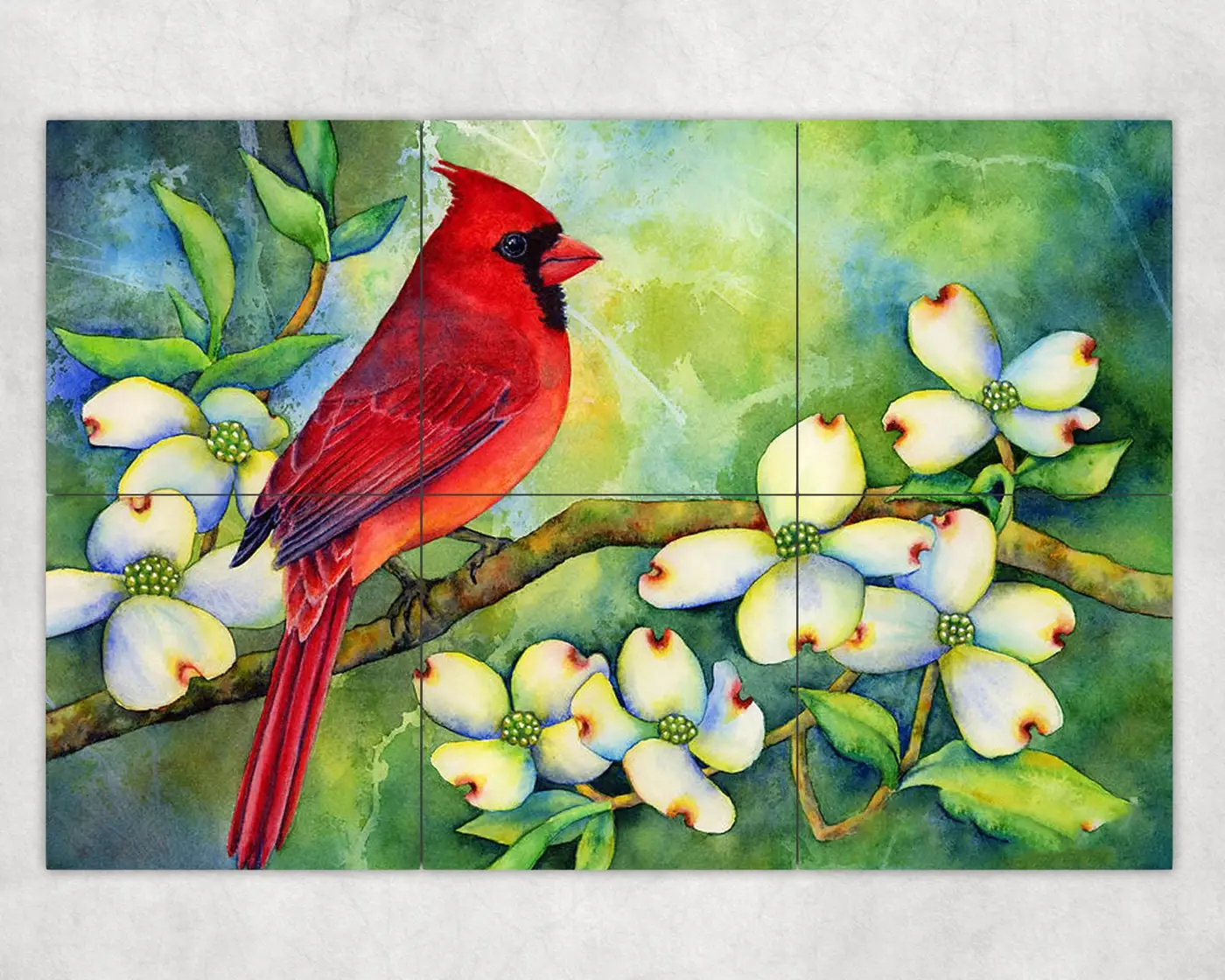 Cardinal on Dogwood