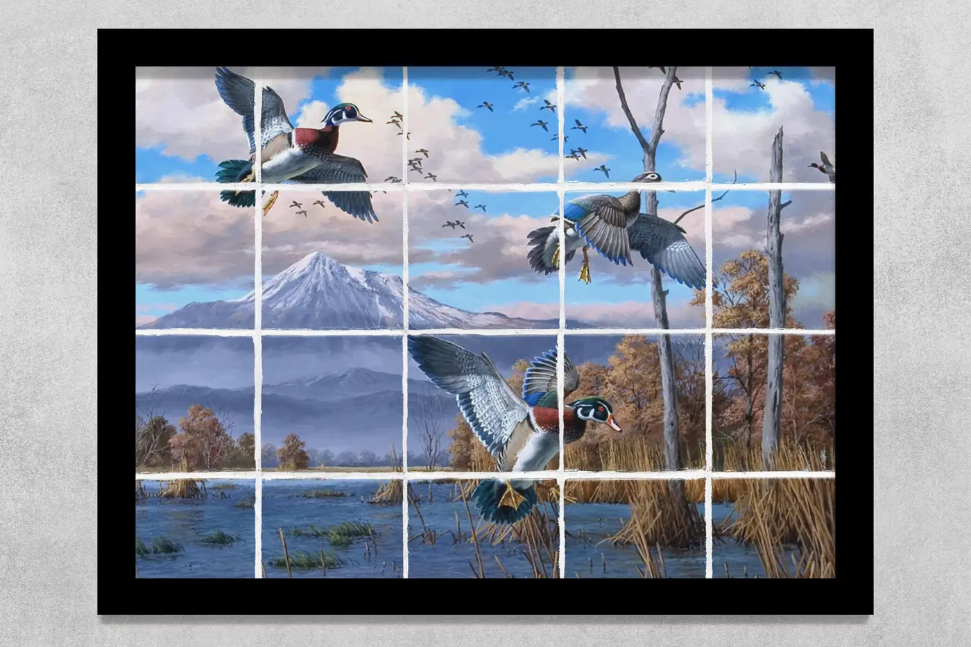 Colorful Wood Ducks and Mallards in Marsh