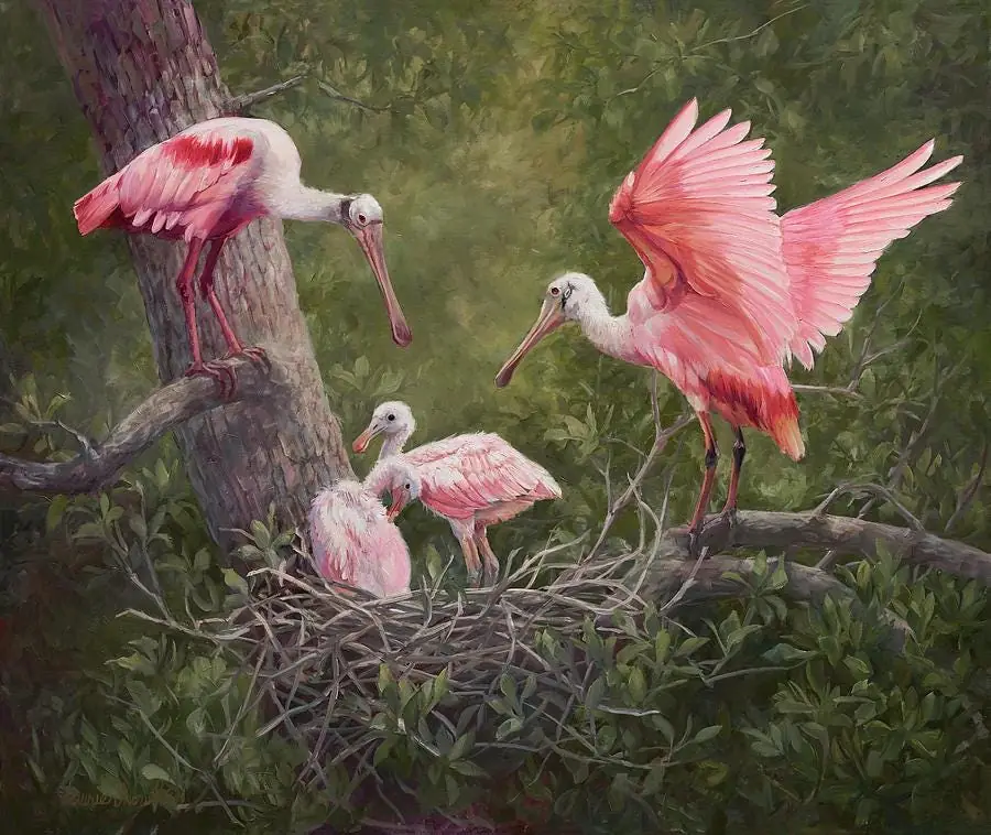 Proud Mama, Roseate Birds Spoonbill Family in Nature