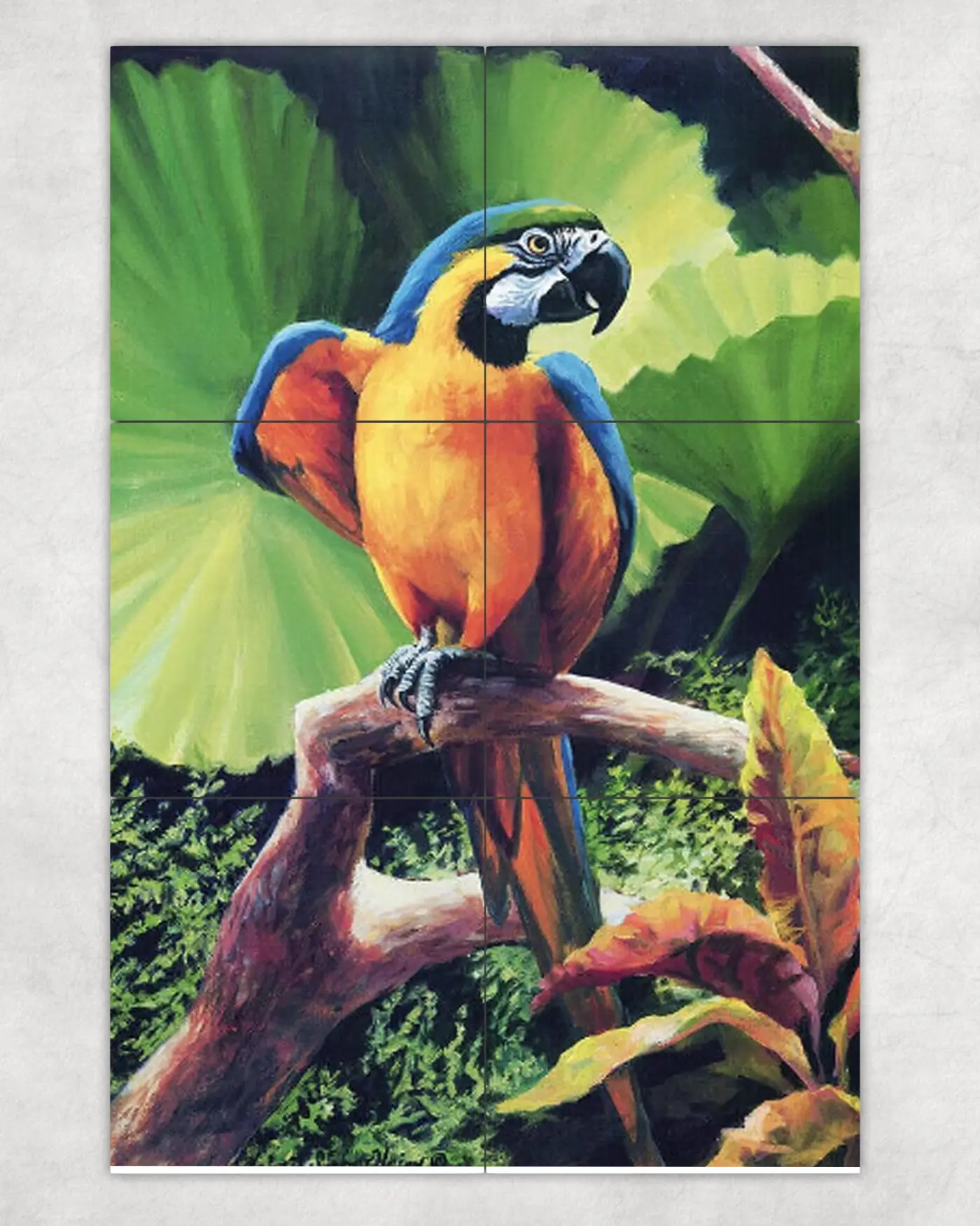 Wild Macaw Parrot Bird in Tropical Forest