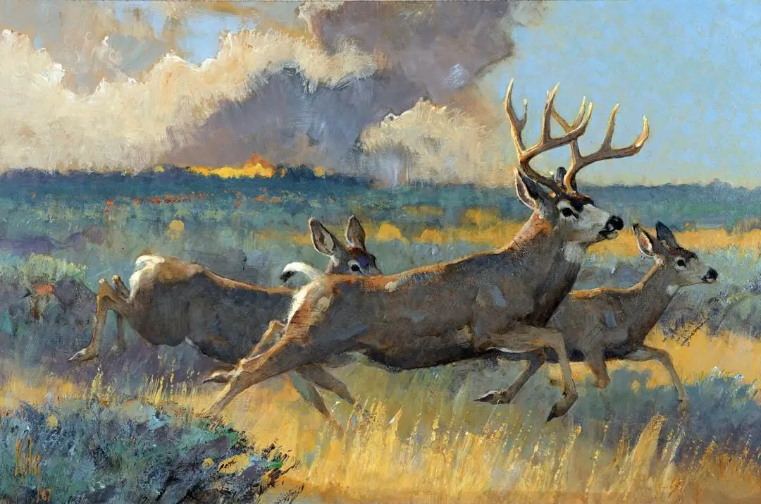 Mule Deer, Wildlife, Country Western