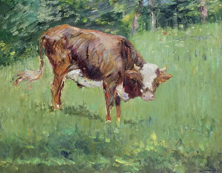 Farm Animal Young Bull in a Meadow Edouard Manet