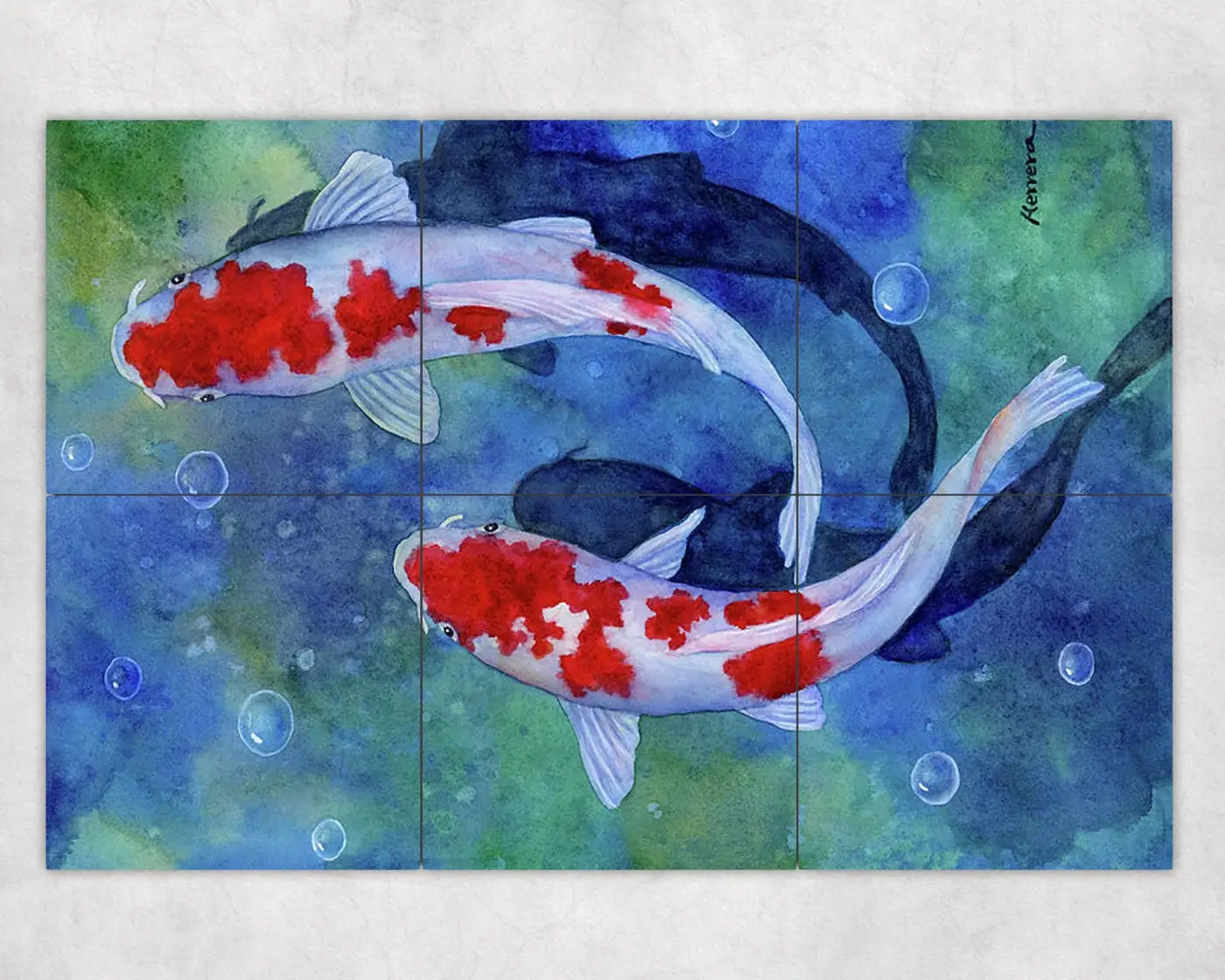 Koi Fish Pond Garden
