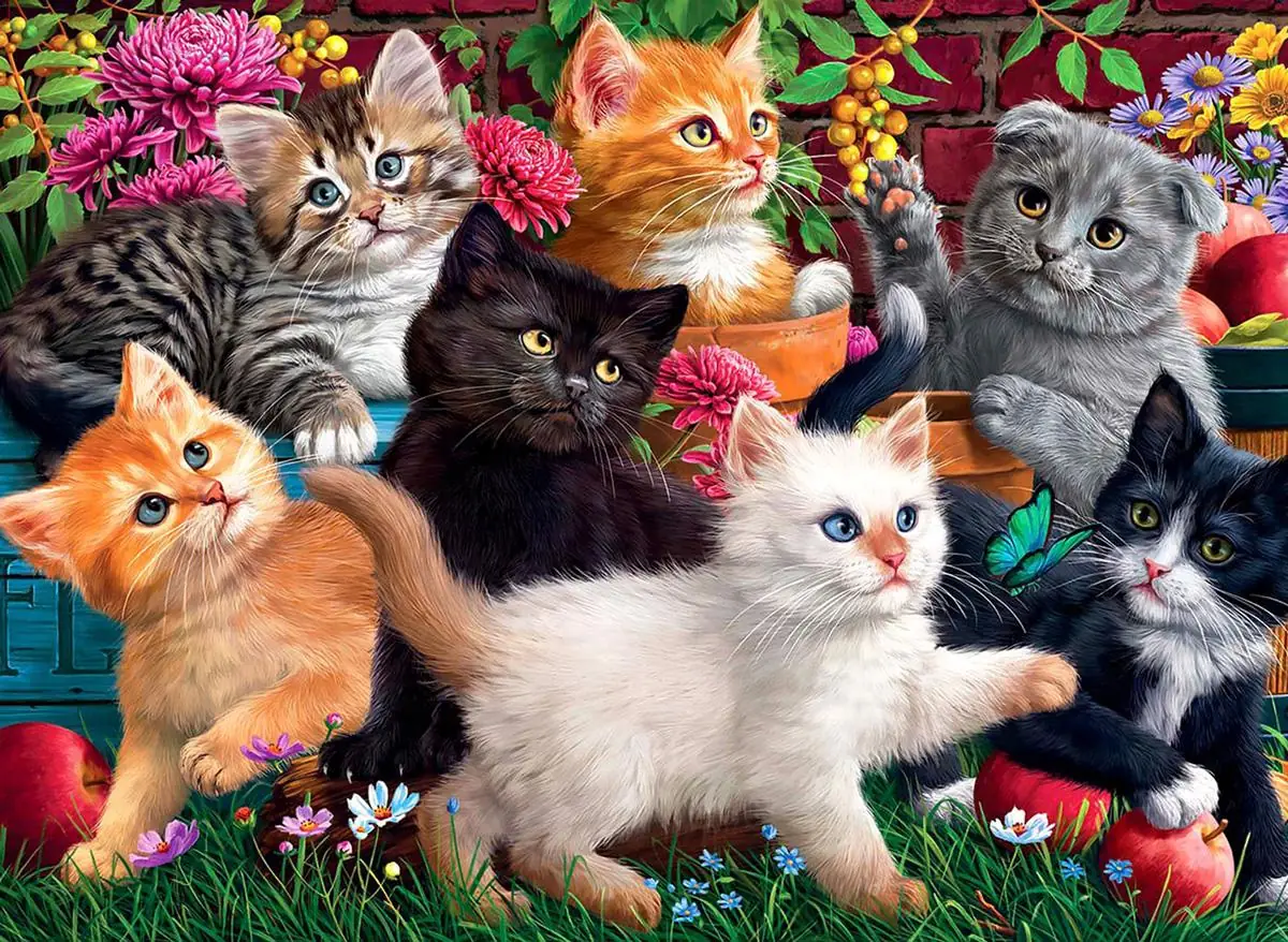 Kittens at Play