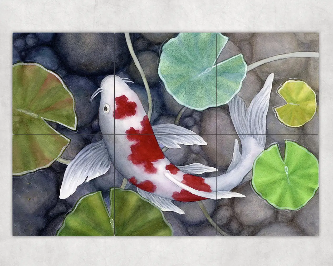 Koi Fish Pond Garden