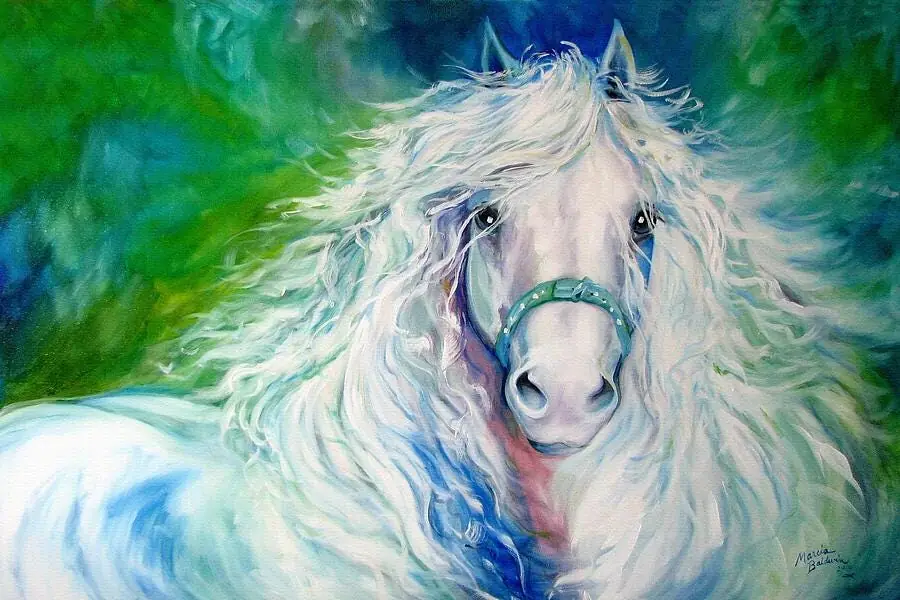 Dream Andalusian White Pony Horse