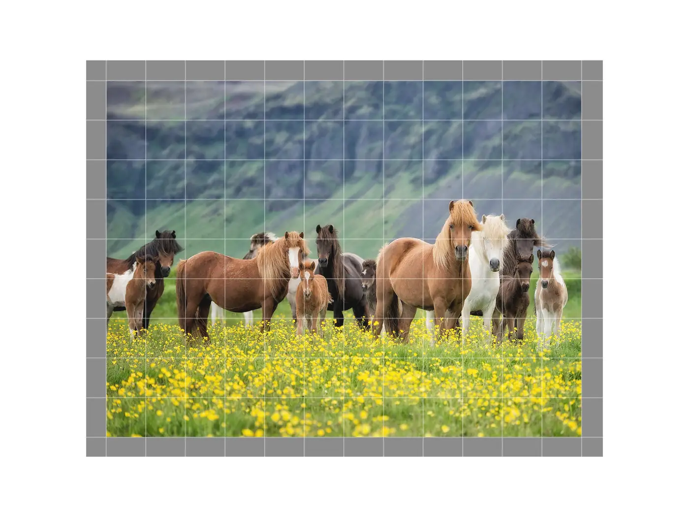 Icelandic Horses ceramic tile mural