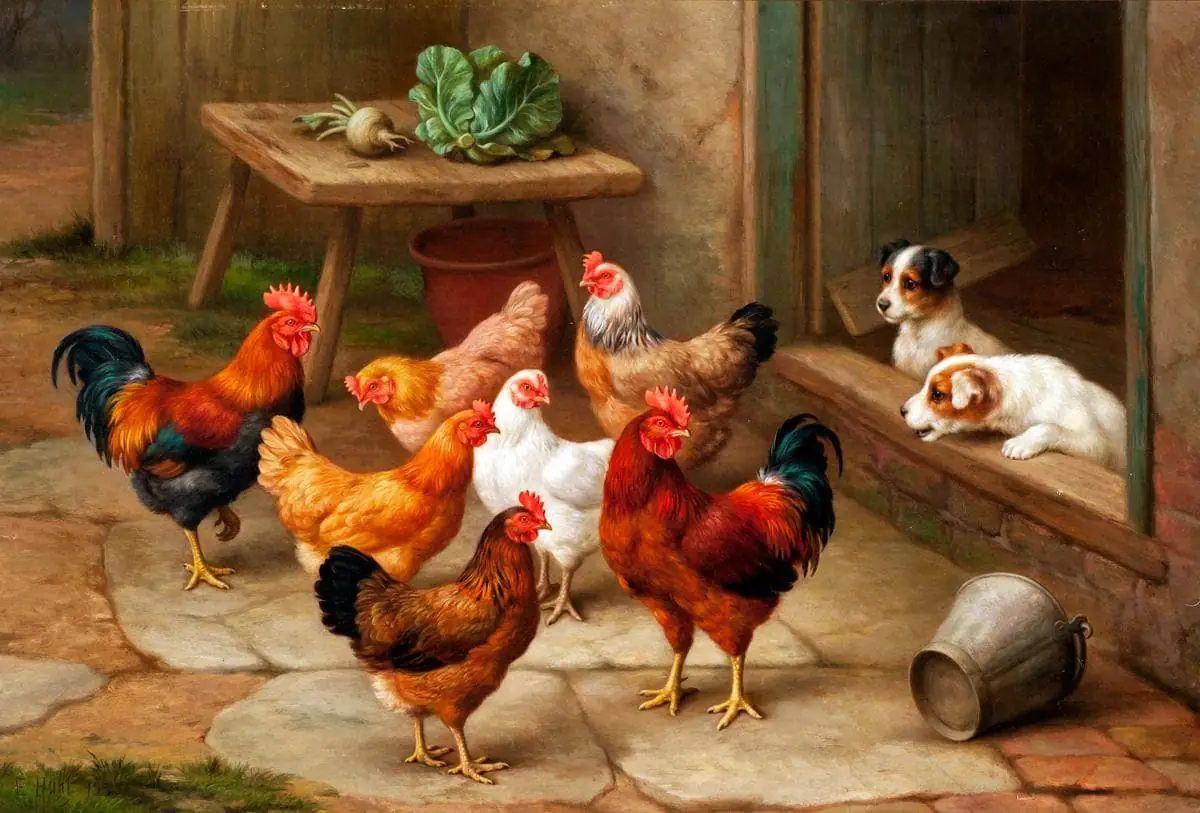 Farmyard Friends