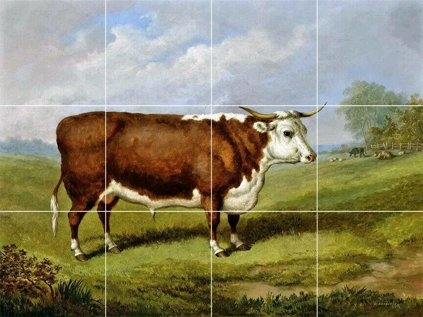 Prize Bull Cow Cattle Farm