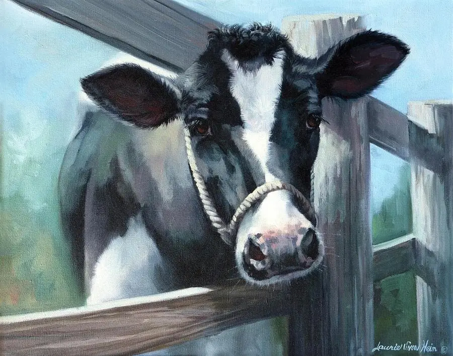 Wanna Cow Lick, Cow Farm Animals