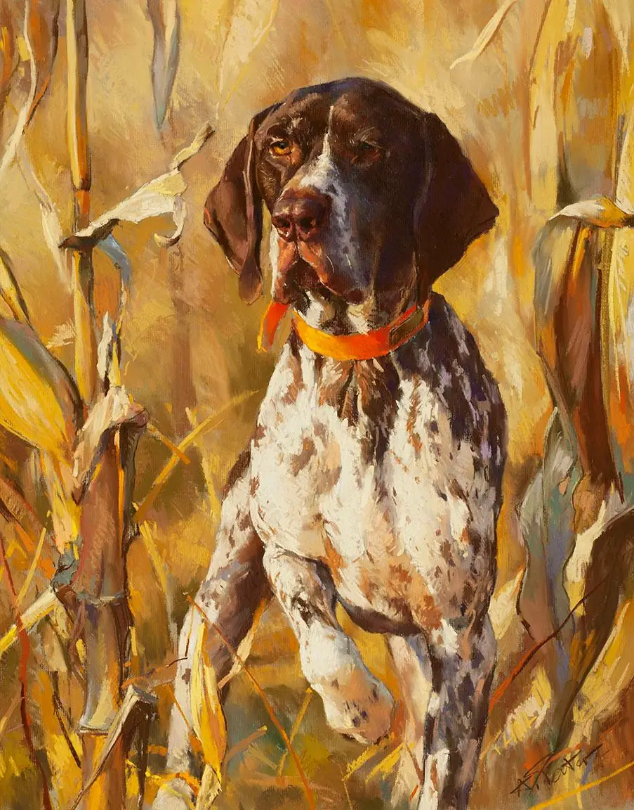 German Shorthaired Pointer Hunting Dog
