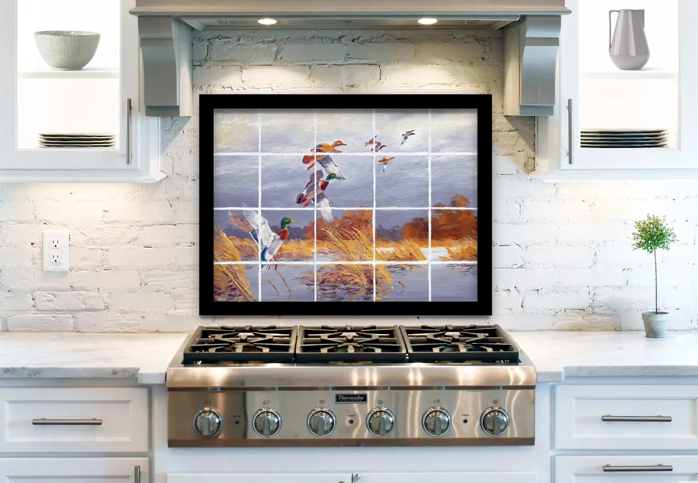 Colorful Wood Ducks and Mallards in Marsh installed