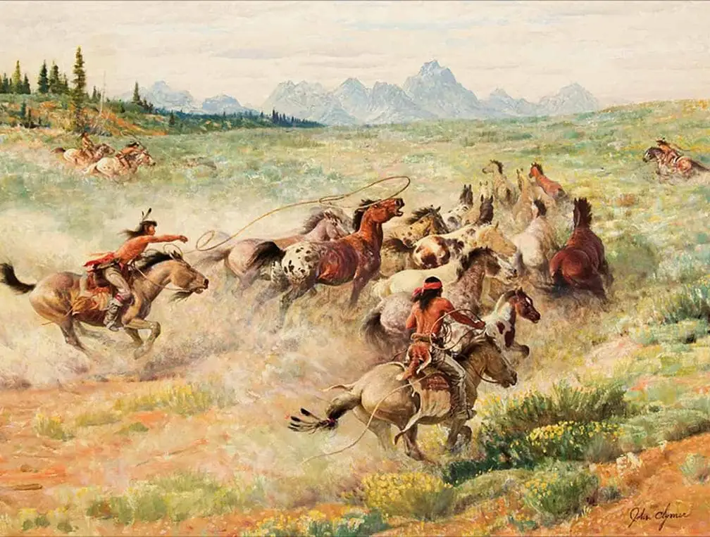 Clymer Wild Horses