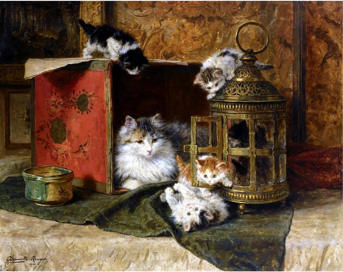 Mother Cat Watching Her Kittens Playing