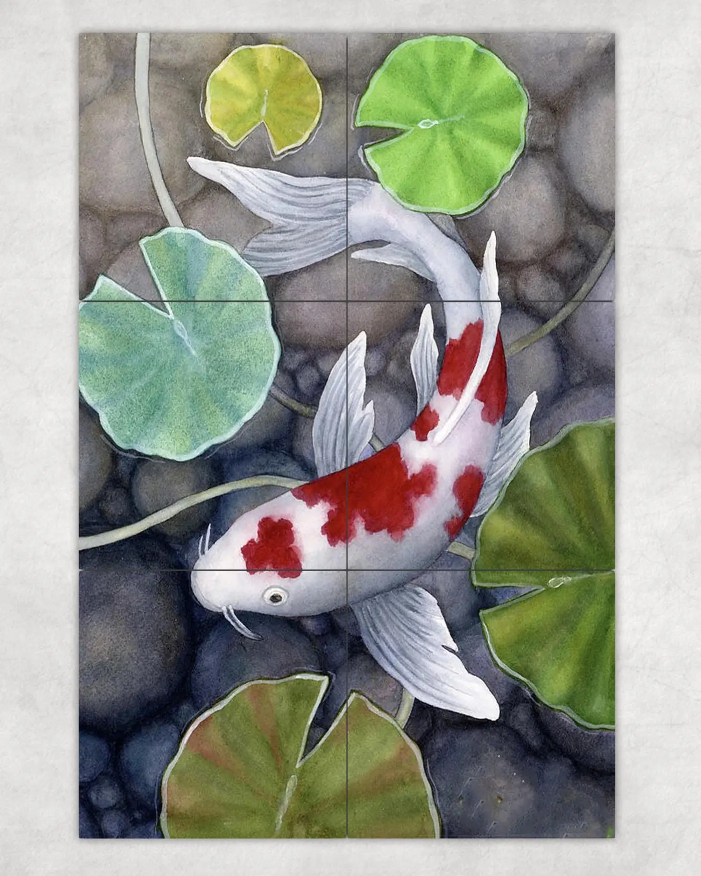 Koi Fish Pond Garden