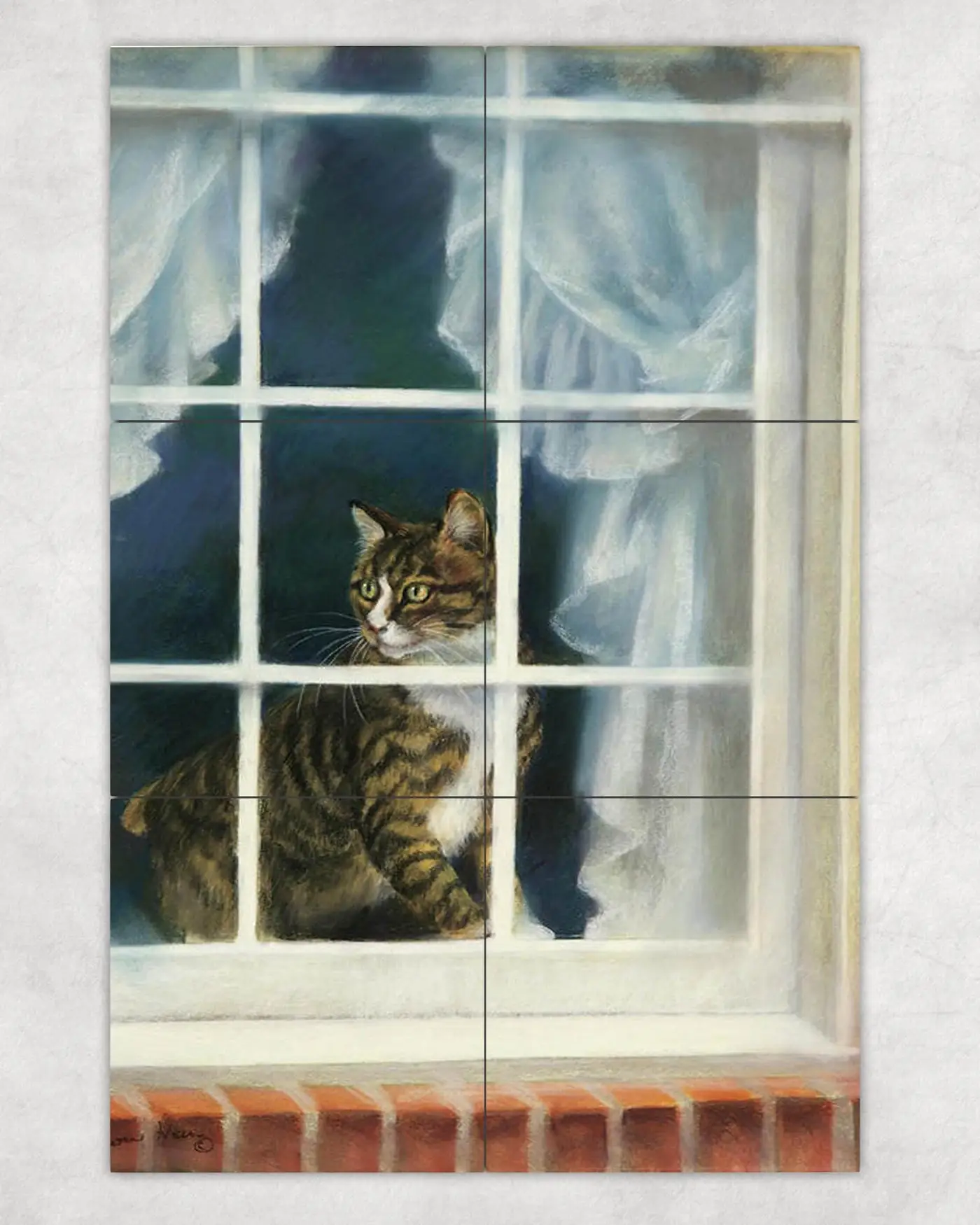 Cat Kitten Looking Through the Window View