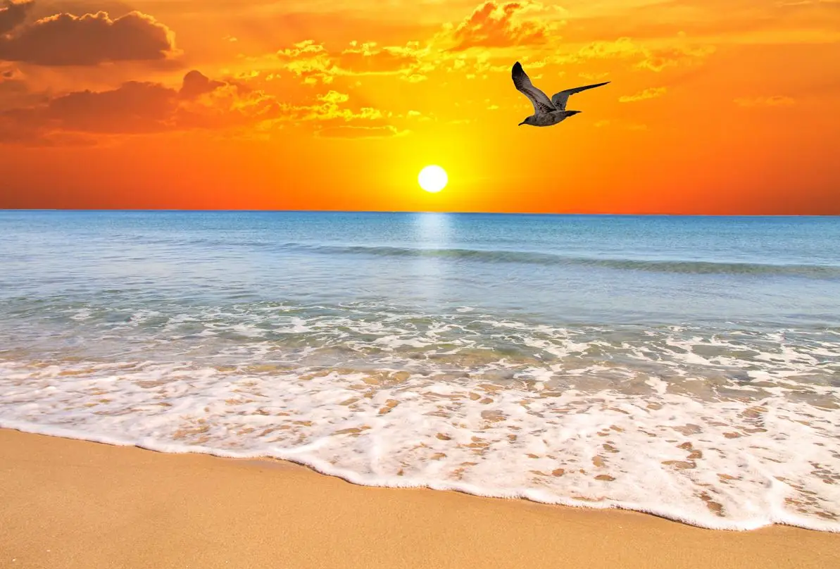 The Beach at Sunrise with Seagull