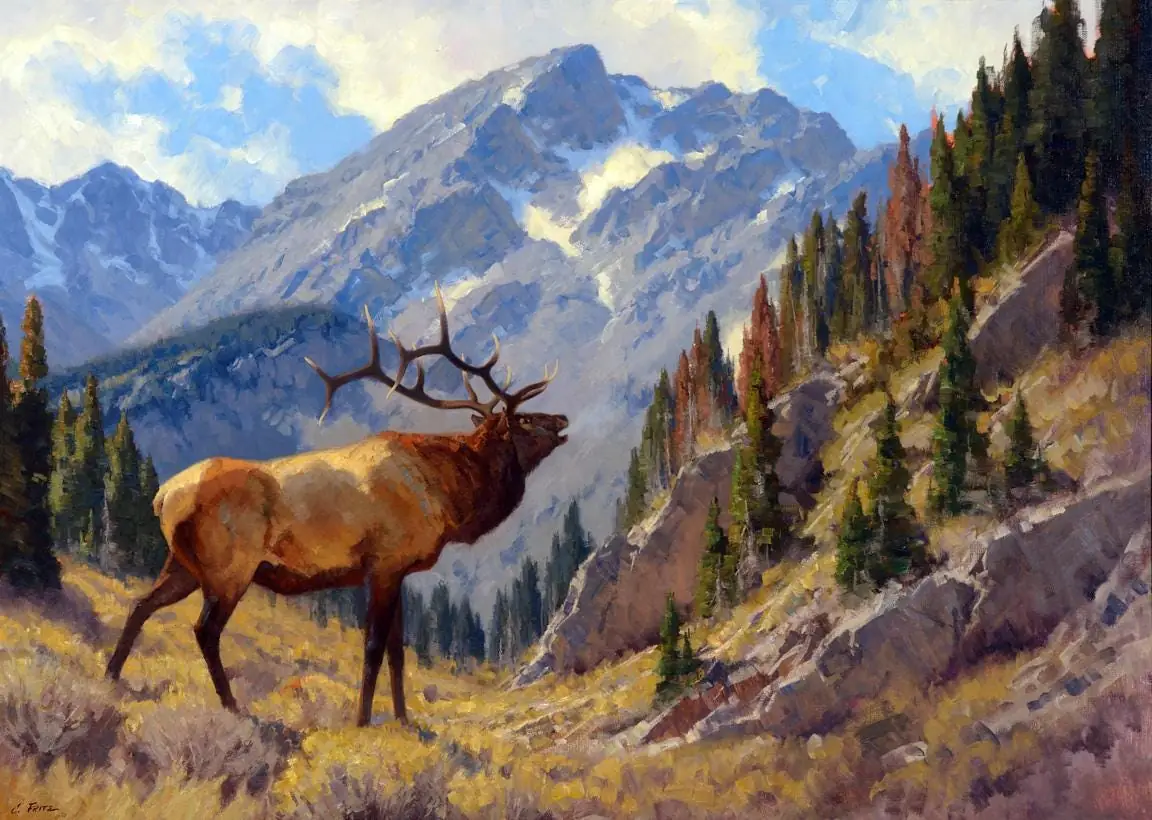 Bugling Elk in Forest Woodland Mountain Range
