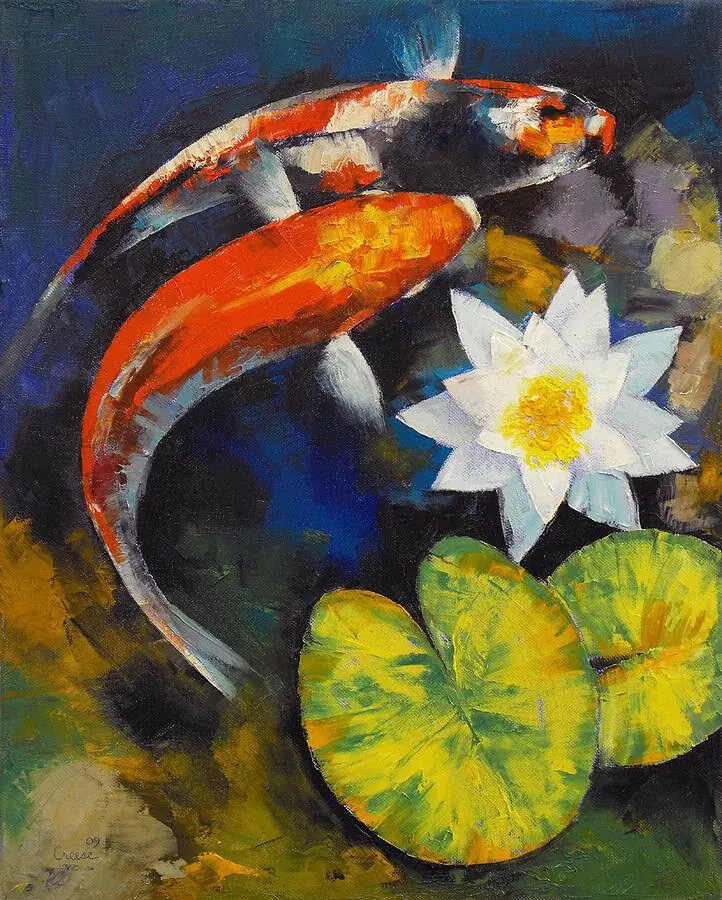 Koi Fish