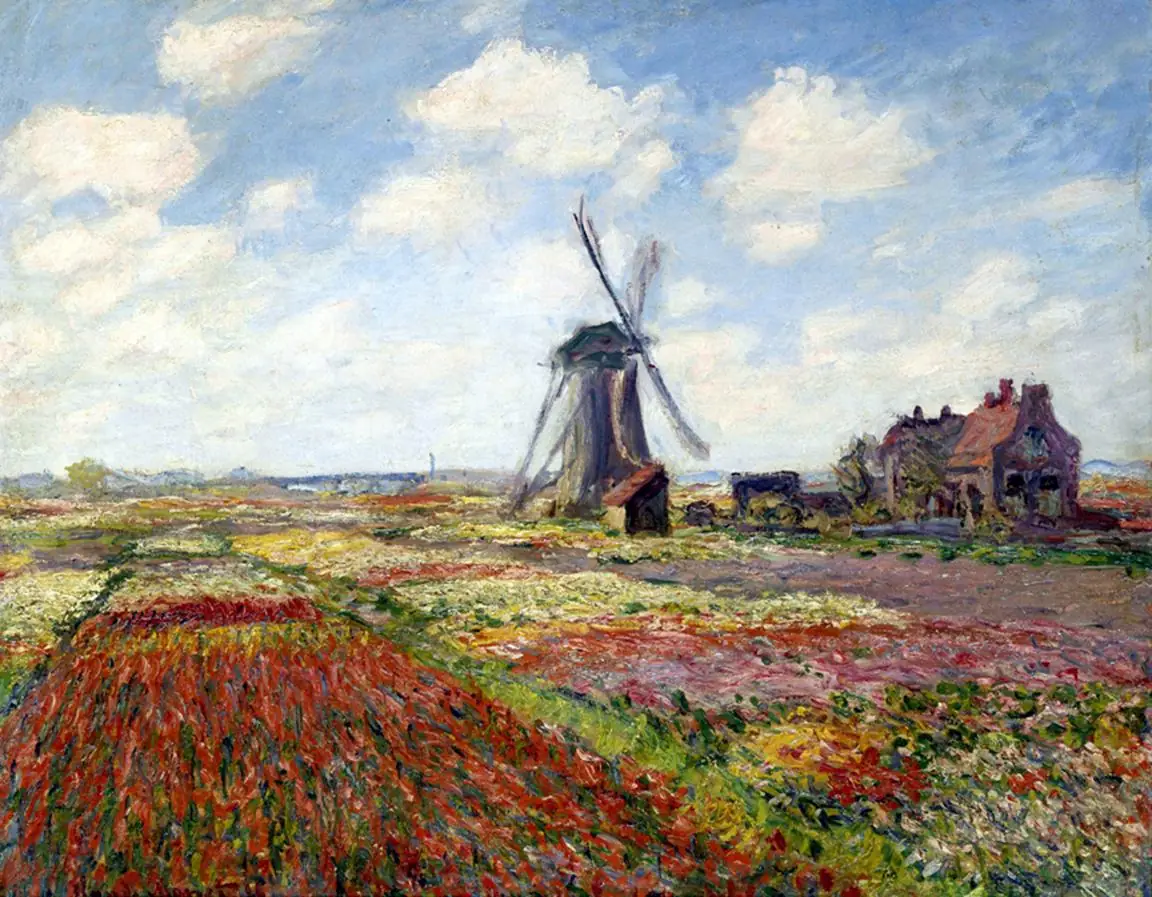 Fields of Tulip with the Rijnsburg Windmill