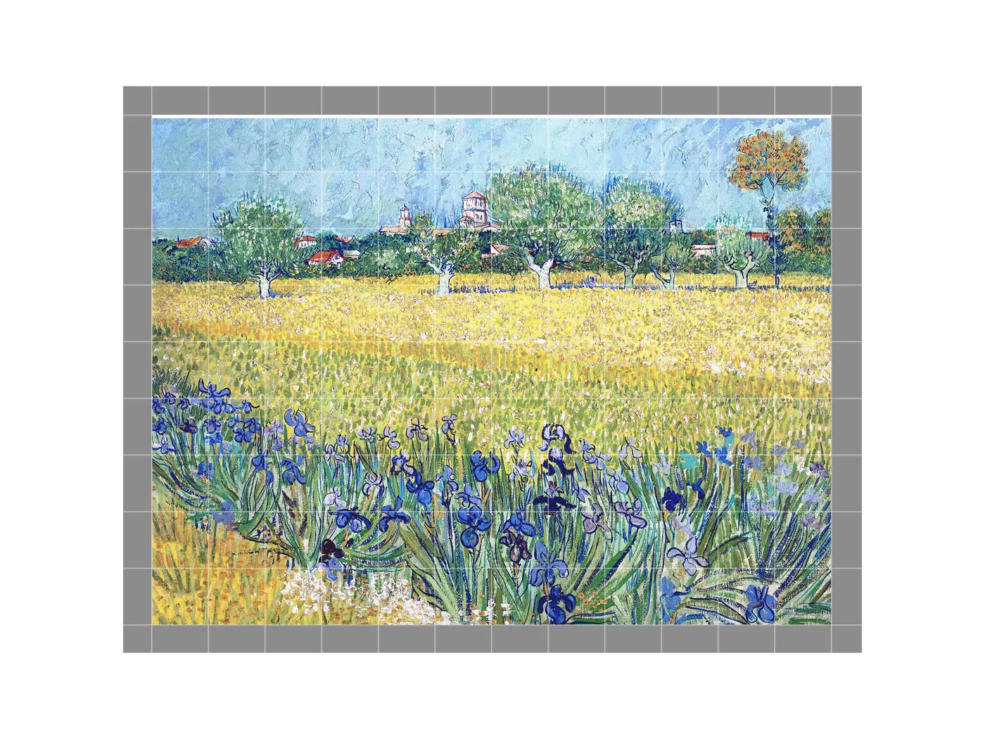 View of Arles with Irises in the Foreground by Vincent