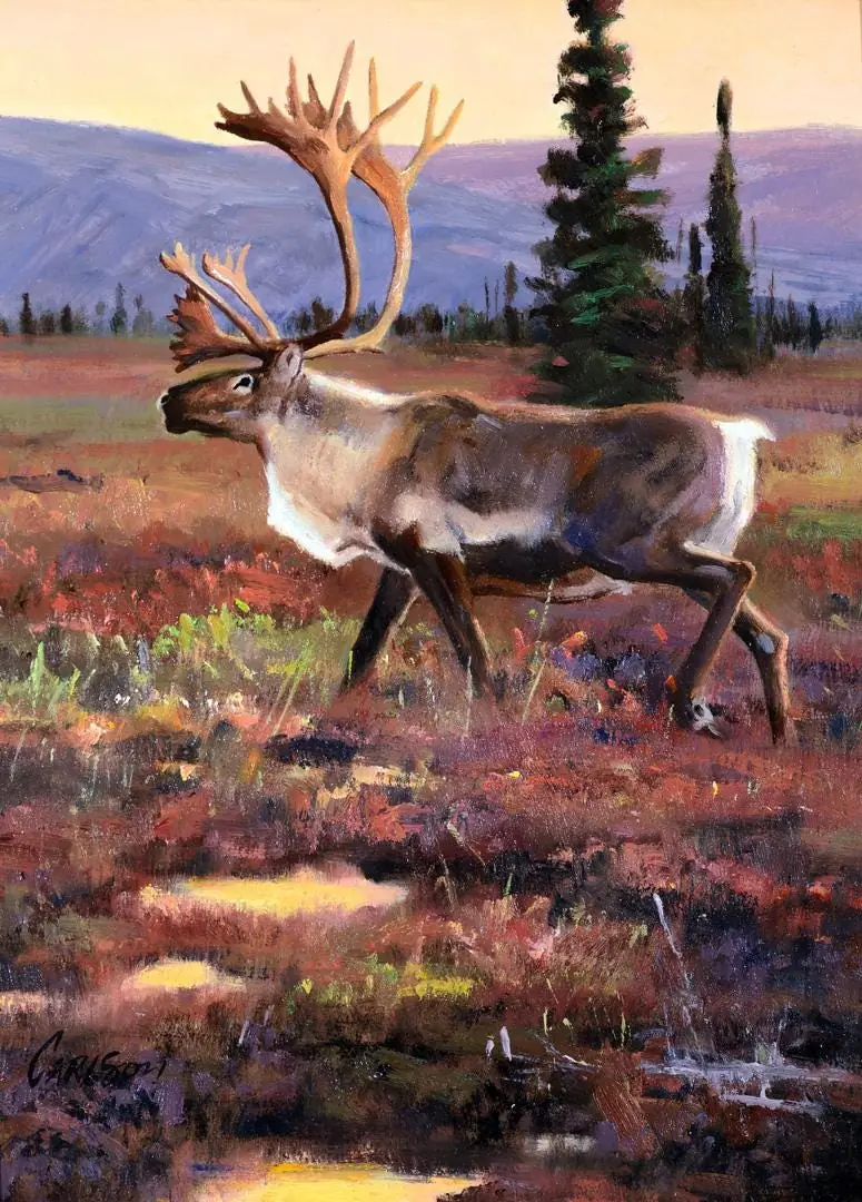 Tundra Migrant Caribou
