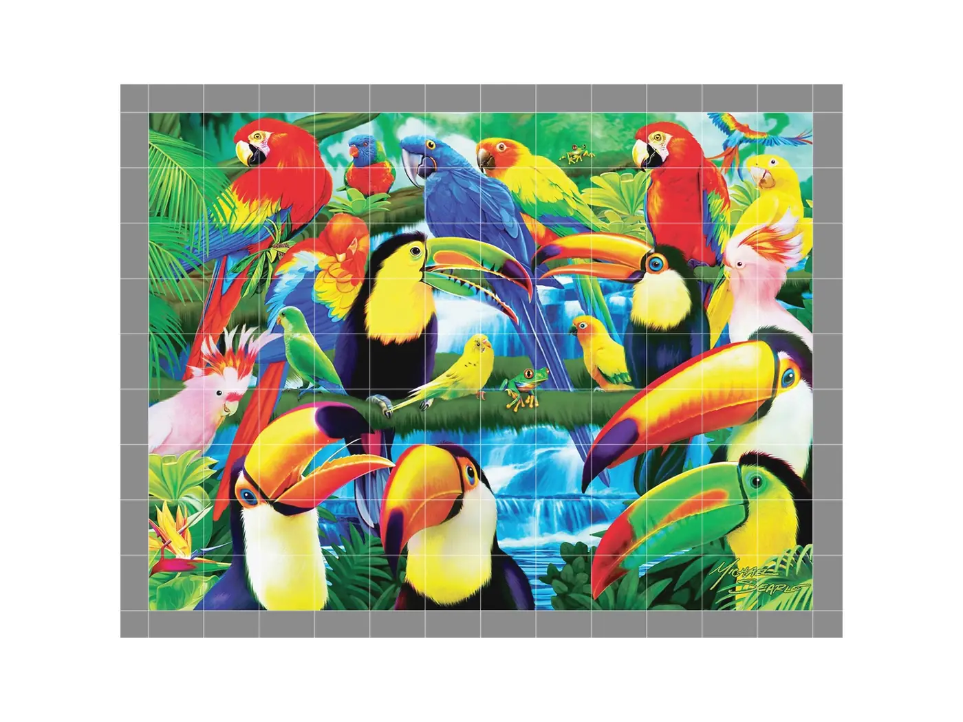 Tropical, Toucan & Parrot Jungle Rainforest, Exotic Bird