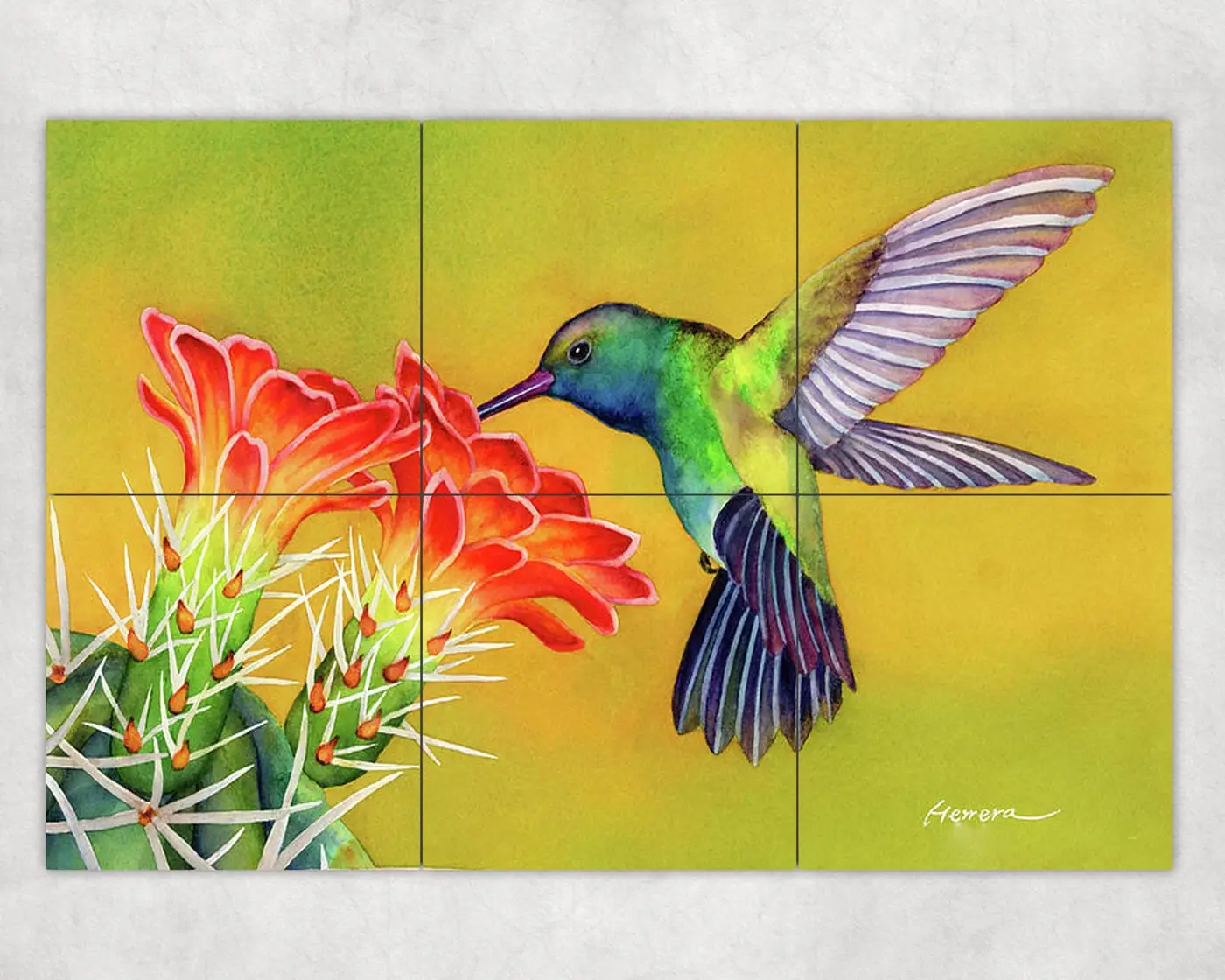 Hummer Time, Hummingbird in Garden