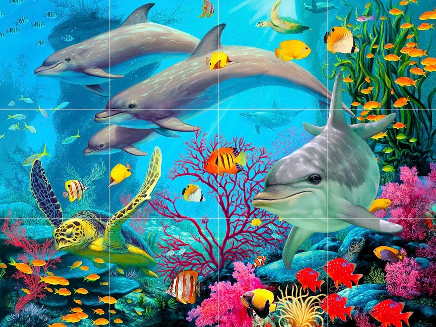 Dolphins Fish Reef Sea Turtle