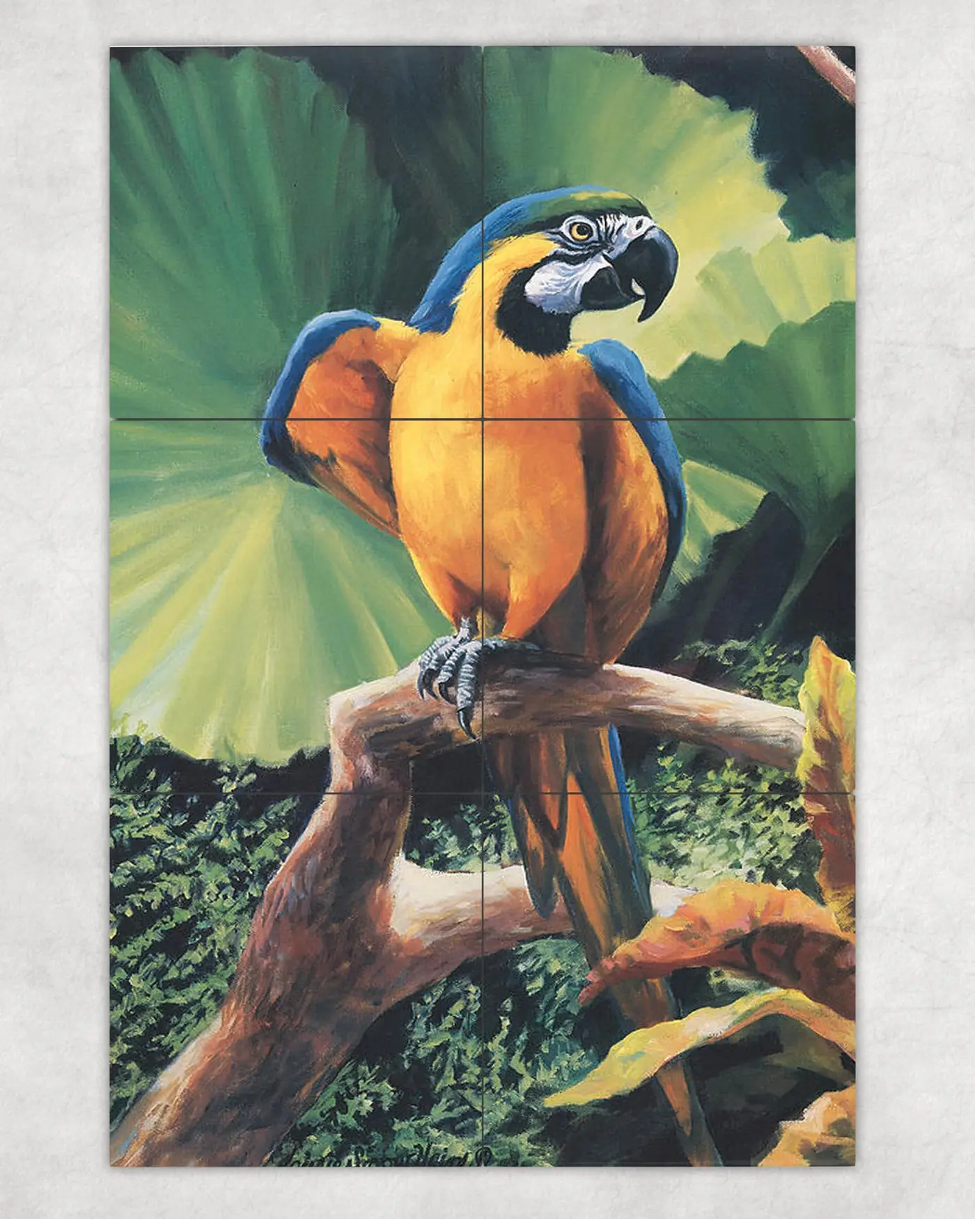 Parrots in Forest Garden