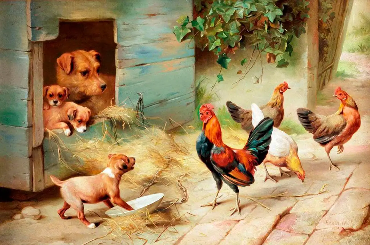 Farm Animals